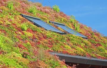 Harmer Green living roof systems